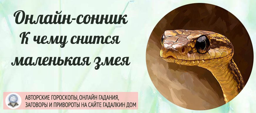 Сонник: маленькая змея