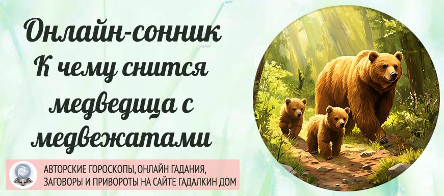 Сонник: медведица с медвежатами