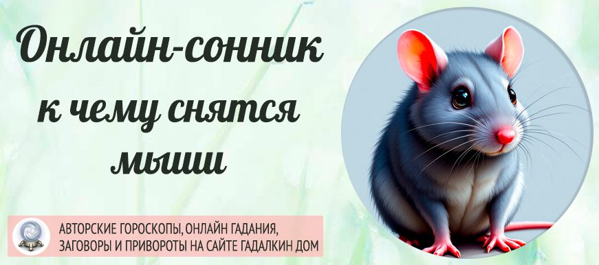 сонник мыши