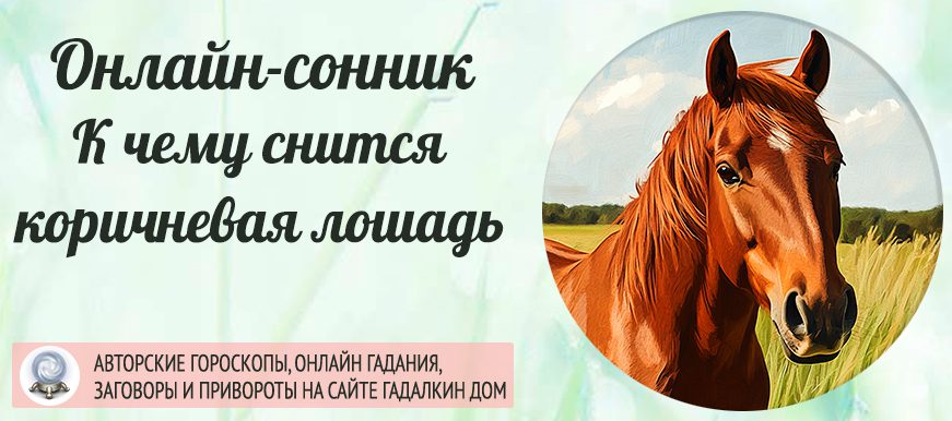 Сонник: коричневая лошадь