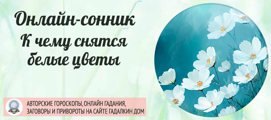 Сонник: белые цветы