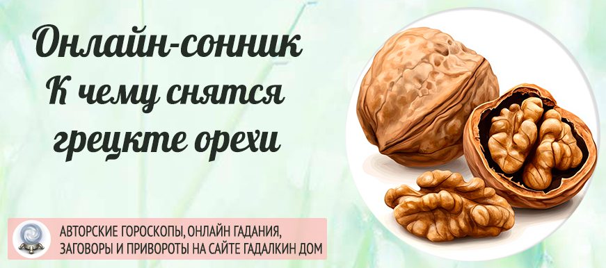 Сонник: грецкие орехи
