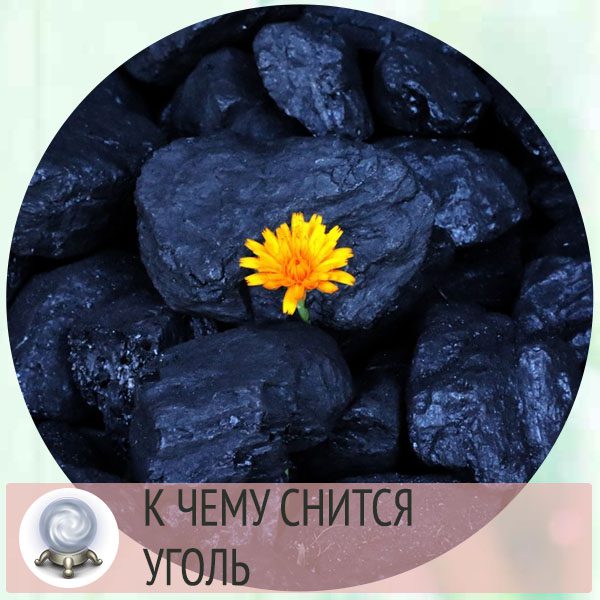 Уголь сон. К чему снится уголь черный. Сон угольный город. К чему снится уголь печки.