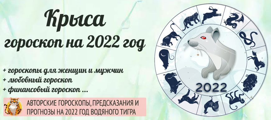 Крыса 2022 Фото