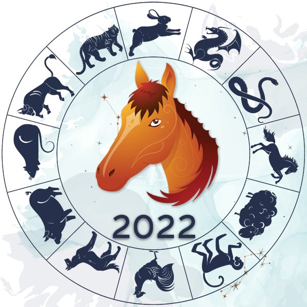 Лошадь знак зодиака года. Лошадь знак зодиака. Лошадь по восточному гороскопу. Гороскоп лошадь на 2022. Восточный гороскоп лошадь.