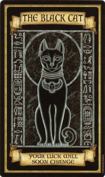 Карта №19 «Чёрная кошка»