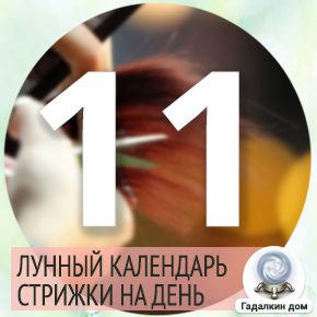 Календарь огородника и садовода на 11 февраля 2024 года