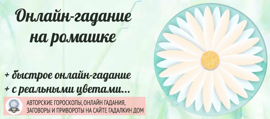 гадание на ромашке