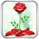 Онлайн-гадание на лепестках роз