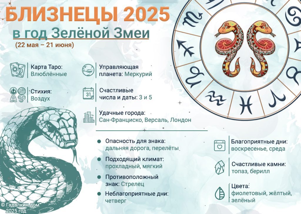 Инфографика для Близнецов 2025 год