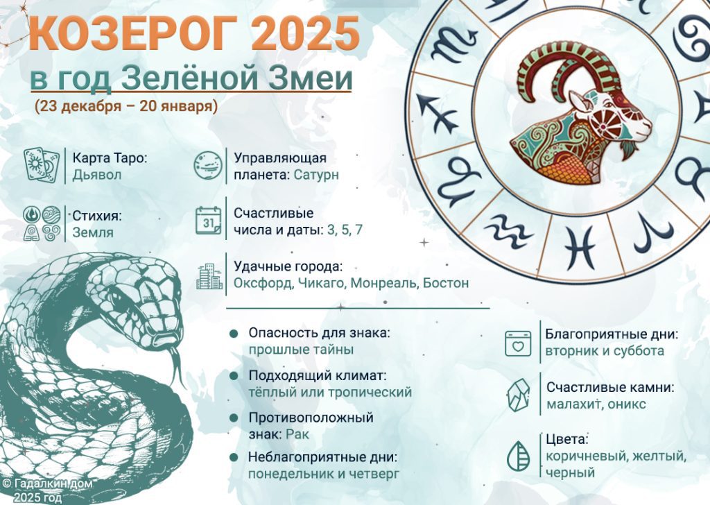 Инфографика для Козерогов на грядущий 2025 год Зелёной Змеи.