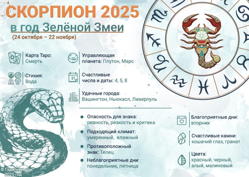 Инфографика Скорпион 2025