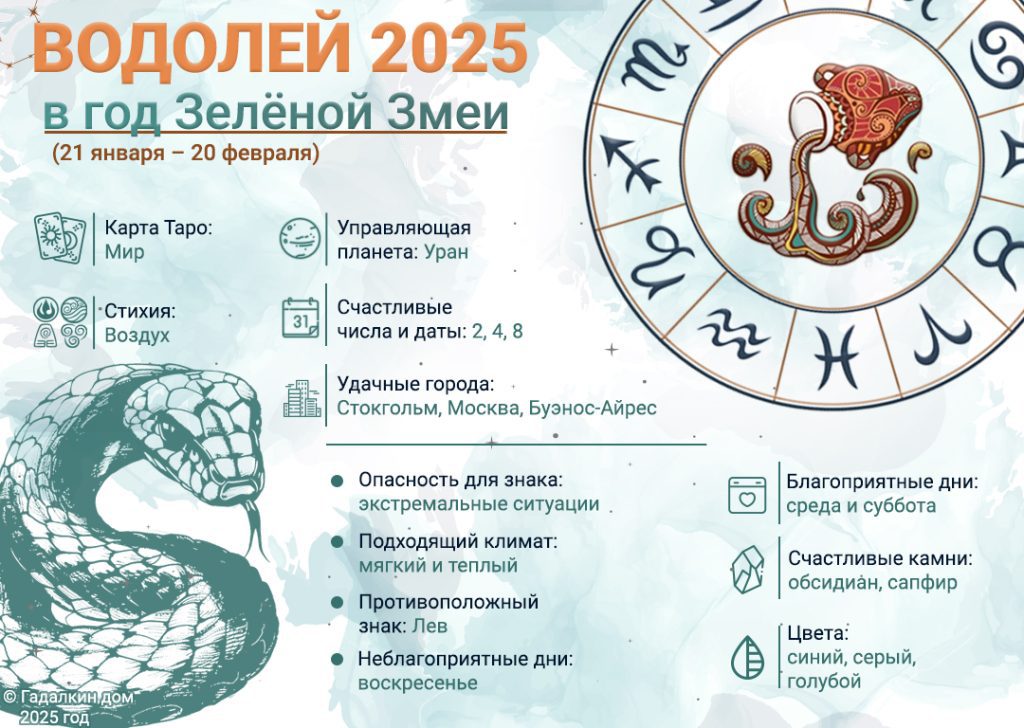 Инфографика Водолей 2025 год