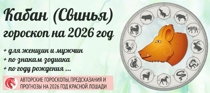 Китайский гороскоп на 2026 год Свинья (Кабан)