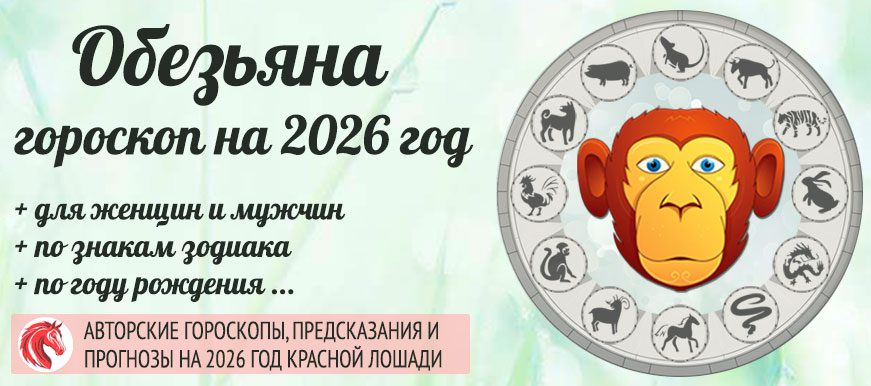 Китайский гороскоп на 2026 год Обезьяна