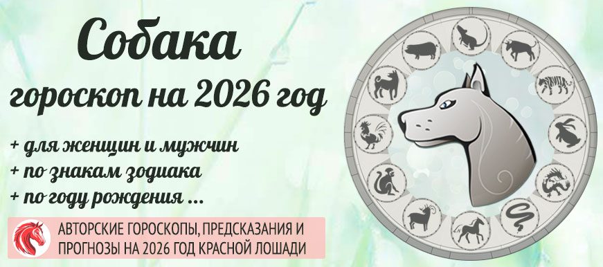 Китайский гороскоп на 2026 год Собака