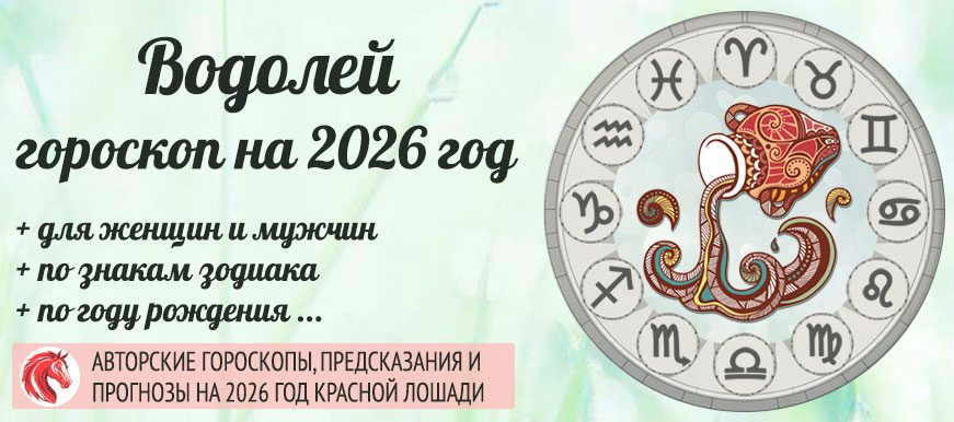 Точный авторский гороскоп на 2026 Водолей