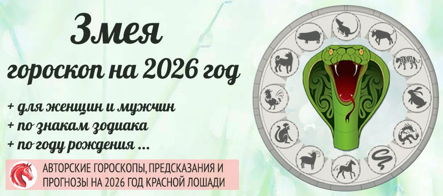 Китайский гороскоп на 2026 год Змея