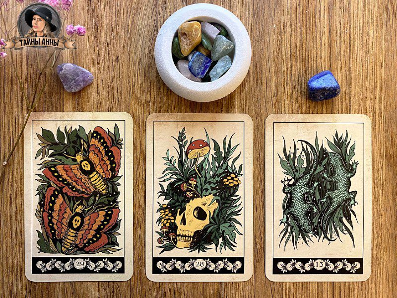 Гадание на оракуле Живой Сути 07.11.2025