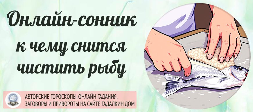 чистить рыбу сонник