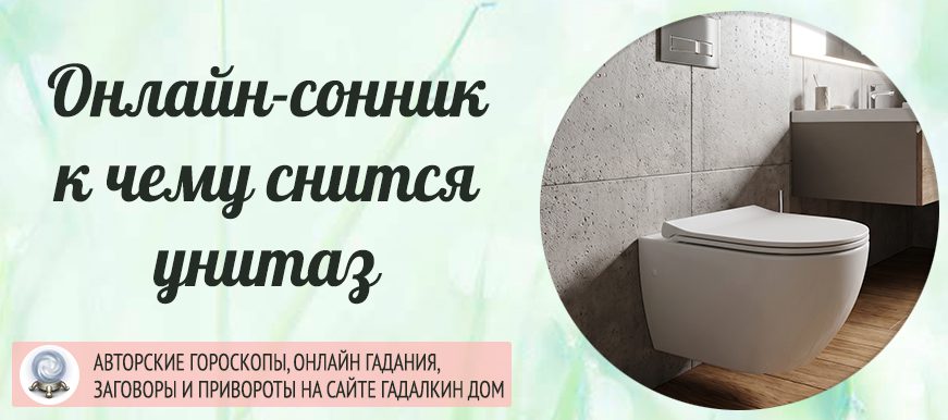 сонник унитаз