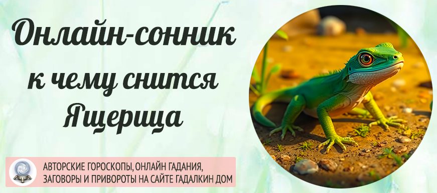к чему снится ящерица