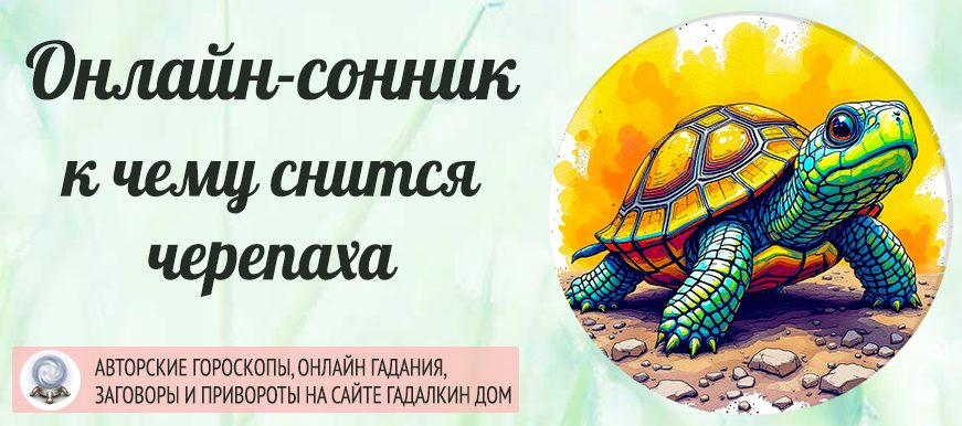 сонник черепаха