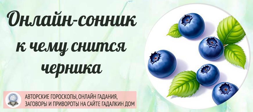 сонник черника