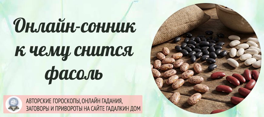 фасоль сонник