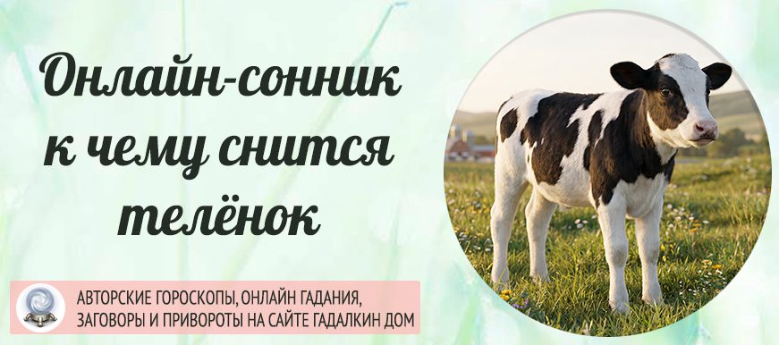 телёнок сонник