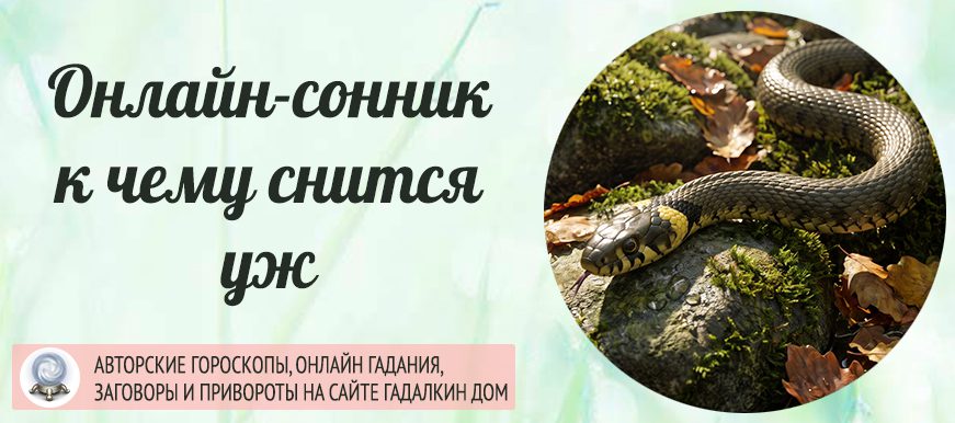 уж сонник