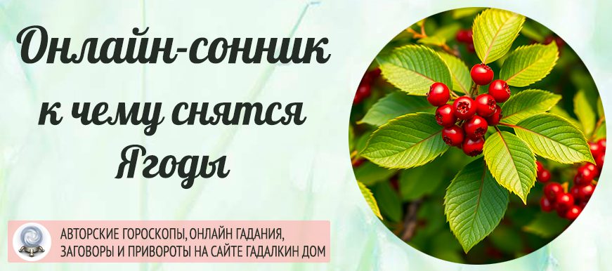 сонник ягоды