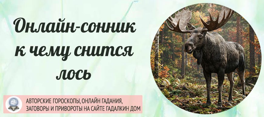 лось сонник