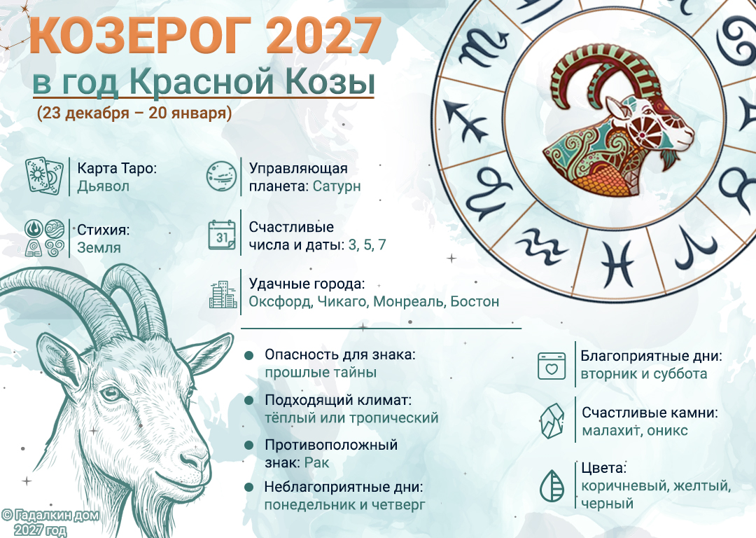 инфографика гороскоп Козерог 2027