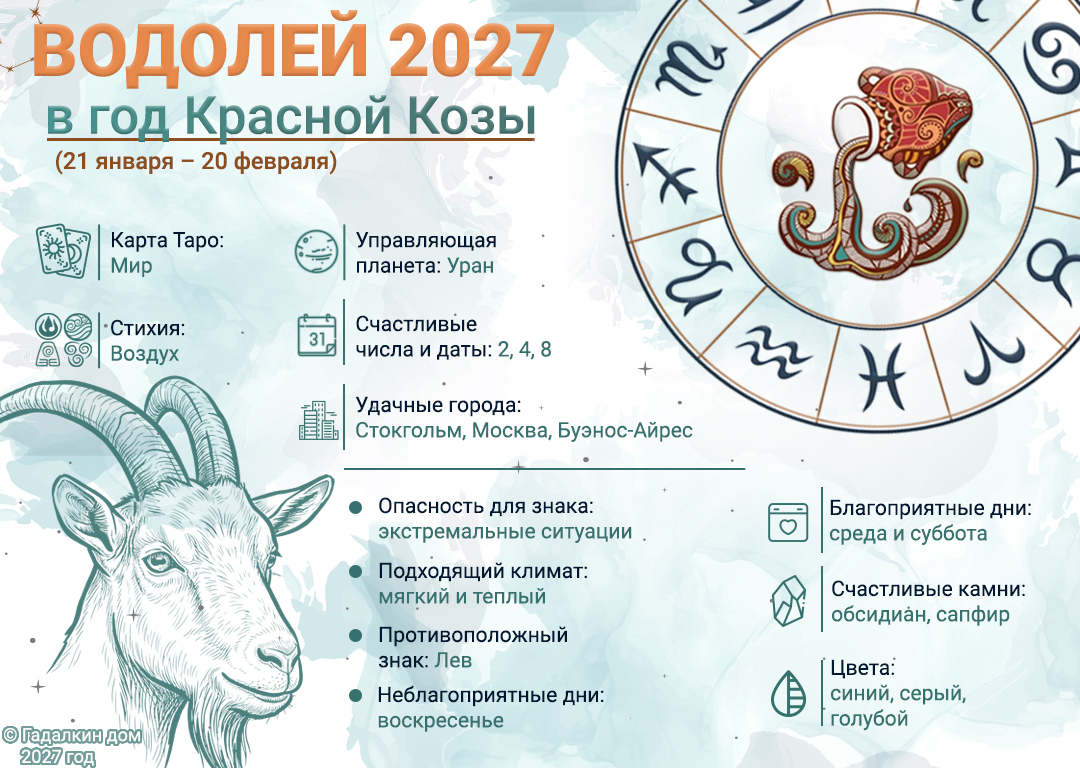 инфографика гороскоп Водолей 2027