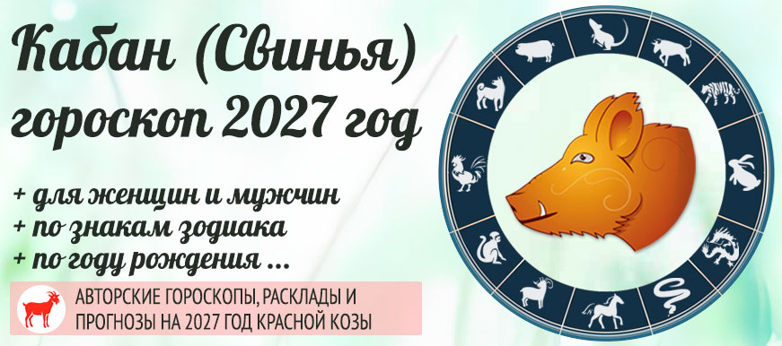 Свинья: восточный гороскоп на 2027 год