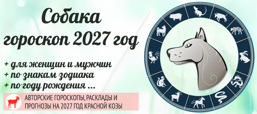 Собака: восточный гороскоп на 2027 год